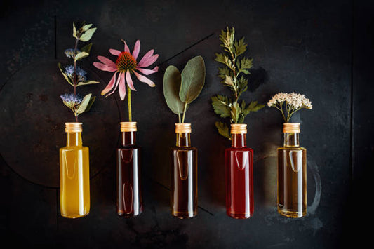 The Science Behind How Essential Oils Work