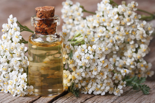 Essential oils for boosting immunity and fighting illnesses